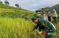 Happiness on rice fields in Ten Tan